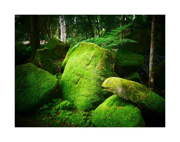Moss rocks - image #490099 gratis