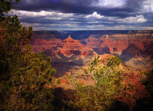 Grand Canyon South Rim - Free image #490269