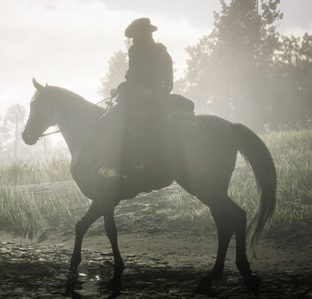Red Dead Redemption 2 / Horsing Around - Free image #490949