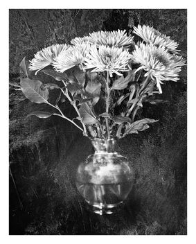 Asters in Silver Vase - image #492059 gratis
