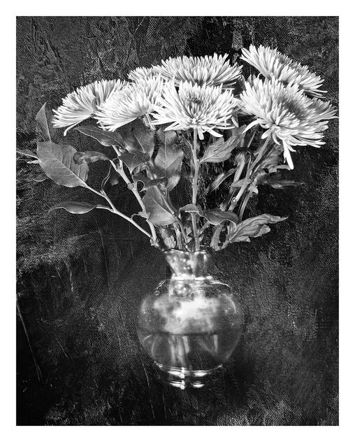 Asters in Silver Vase - бесплатный image #492059