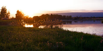 Summer sunset - image gratuit #500029 