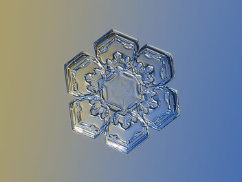 Snowflake 2022-12-08_4788-96 - Kostenloses image #502079