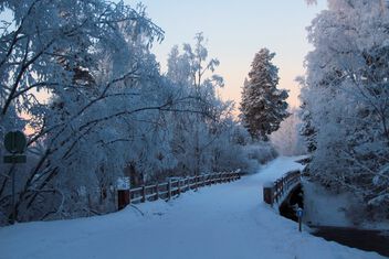 Winter bridge view - Free image #503249