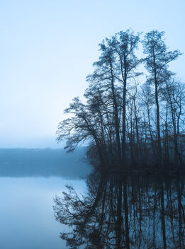 Morning by a lake - бесплатный image #504459